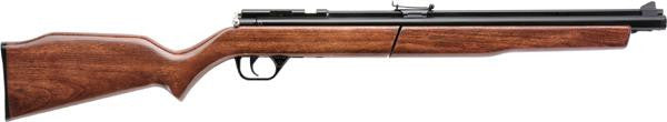 Benj 22cal Pump Rifle Sgl Shot