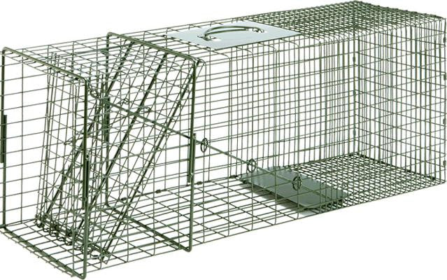 Duke Cage Trap Raccoon 32x10x12 1dr