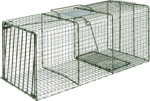 Duke Hd Cage Trap 36x15x14 Lrg Coon