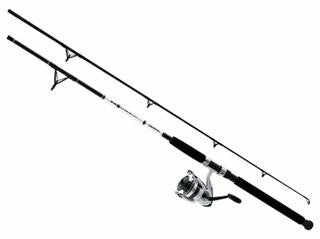 Daiwa Wave 2pc 8' Sw Spin Combo