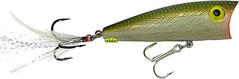 Reb Pop'r 1-4 2.5""-tenn Shad