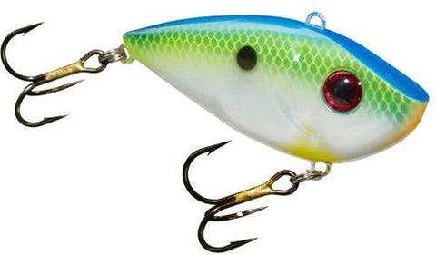 Sk Redeye Shad 1-2 Citrus Shad