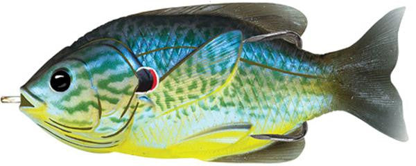 Lt Hollow Sunfish 3"" Blu-yel Pmknsd