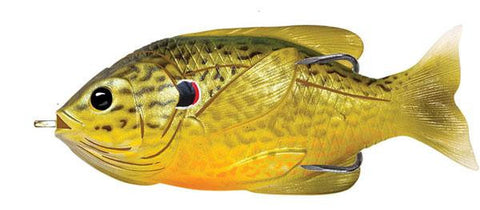 Lt Hollow Sunfish 3"" Grn-brnz Pmksd