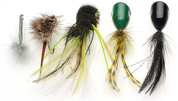 Ec Packaged Bass Fly Assortment 5pc